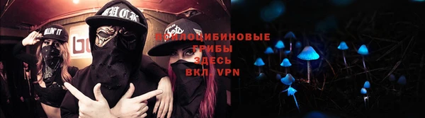 соль ск Каменск-Шахтинский