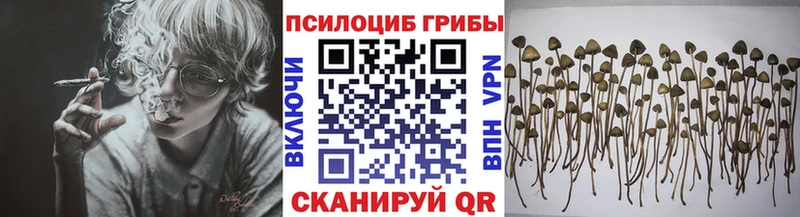 где продают наркотики  Иноземцево  Псилоцибиновые грибы Psilocybine cubensis 